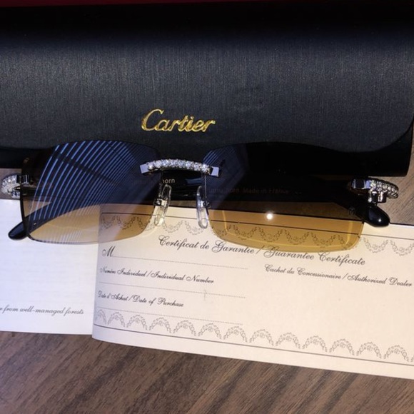 Cartier Shades (iced out) - Picture 4 of 4